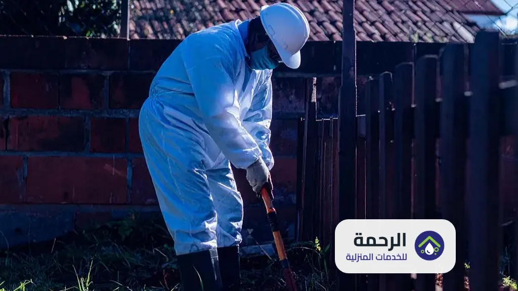 10 طرق مذهلة وفعالة للقضاء على النمل