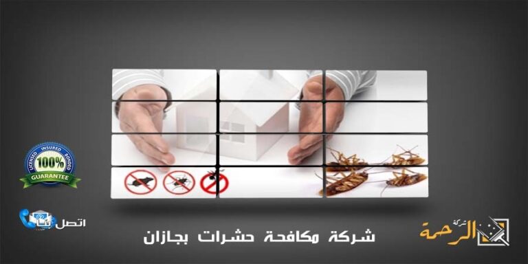 شركة مكافحة حشرات بجازان