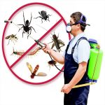 خدمات مكافحة الحشرات