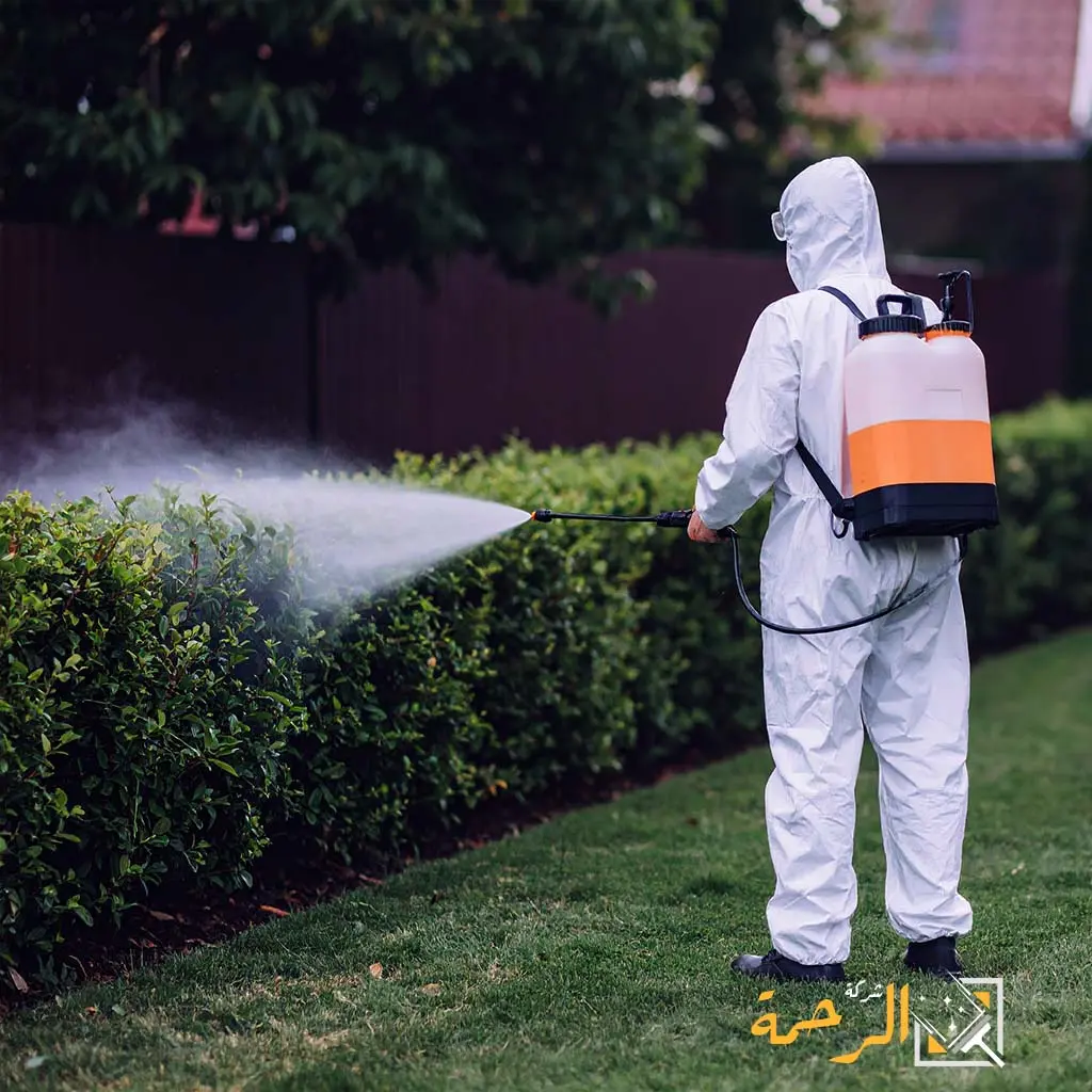 شركة مكافحة الوزغ بتبوك 1 شركة مكافحة الوزغ بتبوك