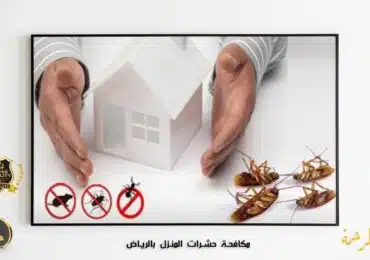 مكافحة حشرات المنزل بالرياض