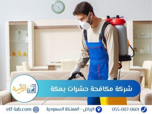 افضل شركة مكافحة حشرات بمكة