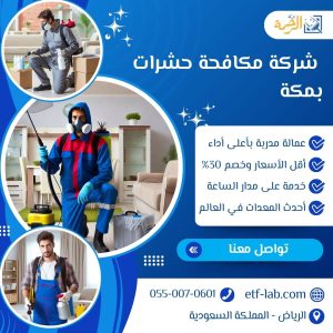افضل شركة مكافحة حشرات بمكة