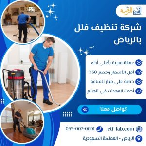 شركة تنظيف فلل بالرياض