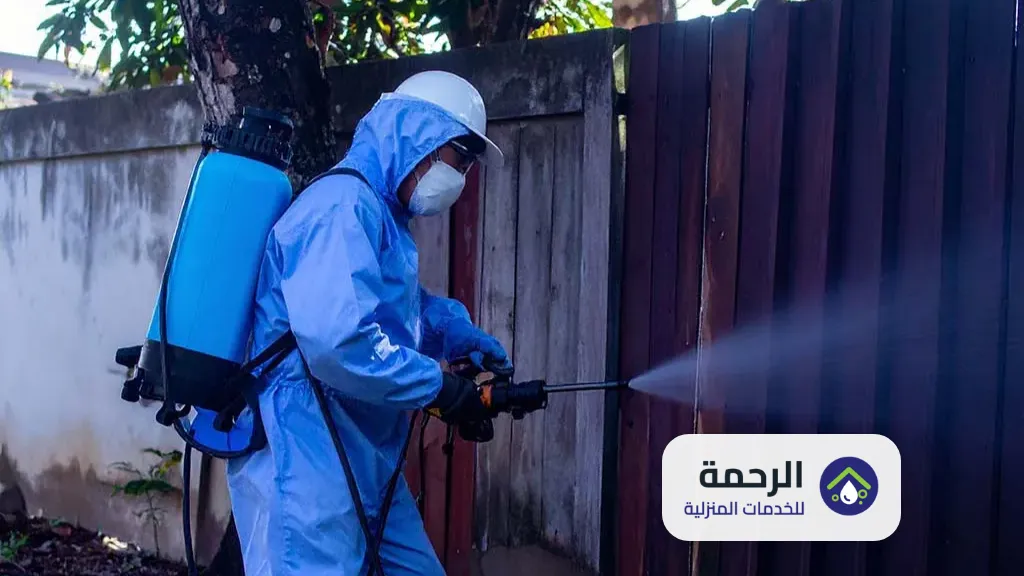 شركة مكافحة النمل الابيض بمكه