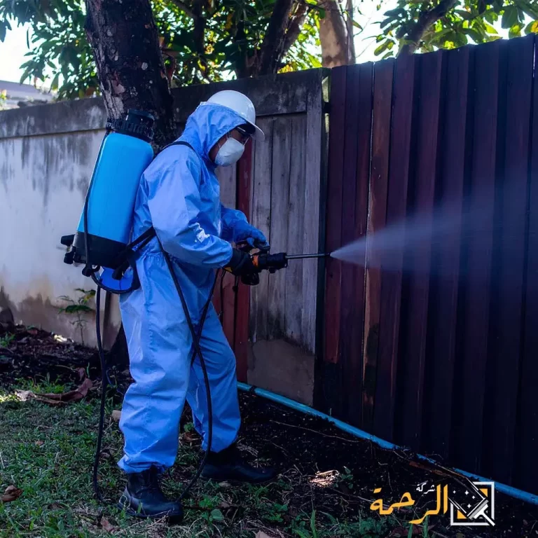 شركة مكافحة النمل الابيض بمكه