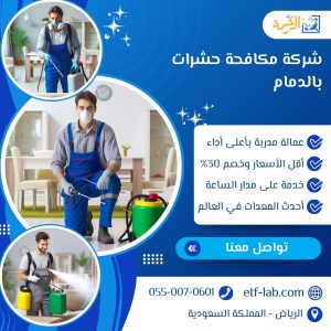 شركة مكافحة حشرات بالدمام