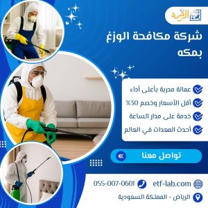 شركة مكافحة الوزغ بمكه