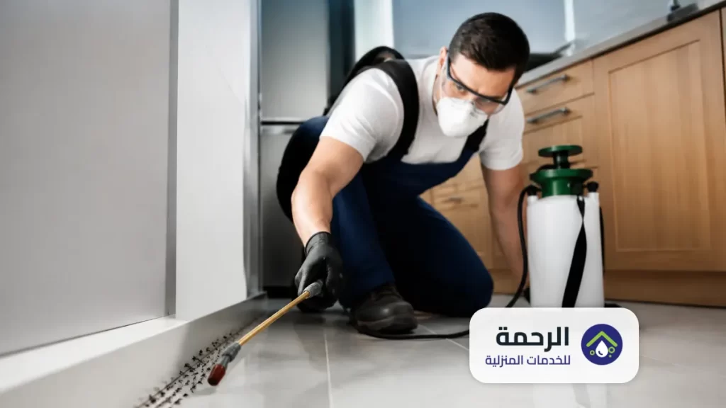 10 طرق مذهلة وفعالة للقضاء على النمل