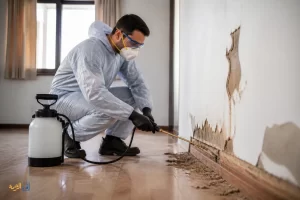 شركة مكافحة النمل الابيض بجازان 4 شركة مكافحة النمل الابيض بجازان