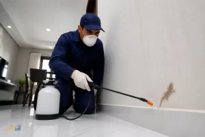 شركة مكافحة الوزغ بتبوك