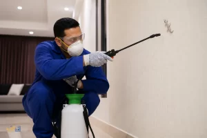 شركة مكافحة الوزغ بمكه