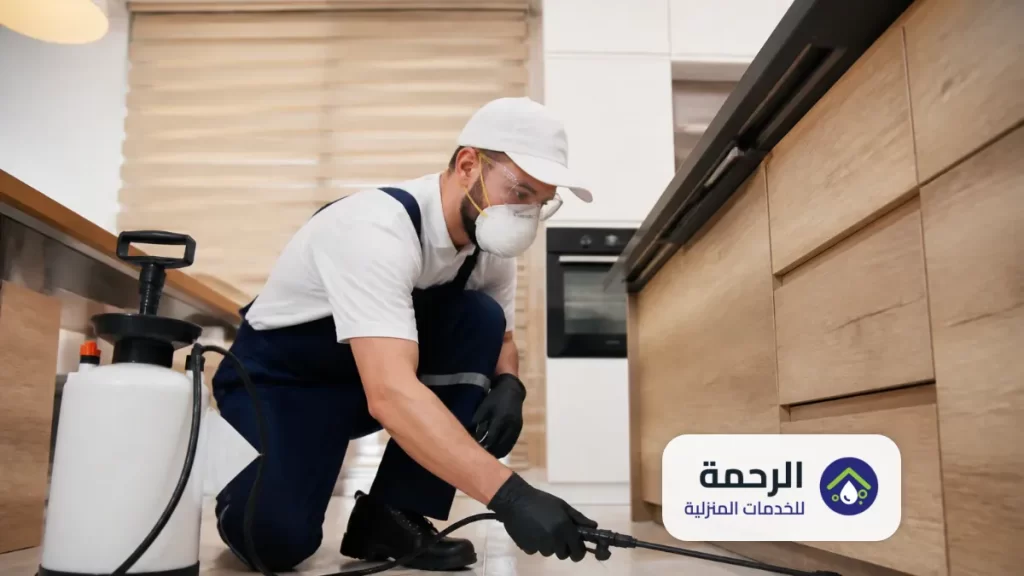 عقد مكافحة الحشرات في حوطة بني تميم